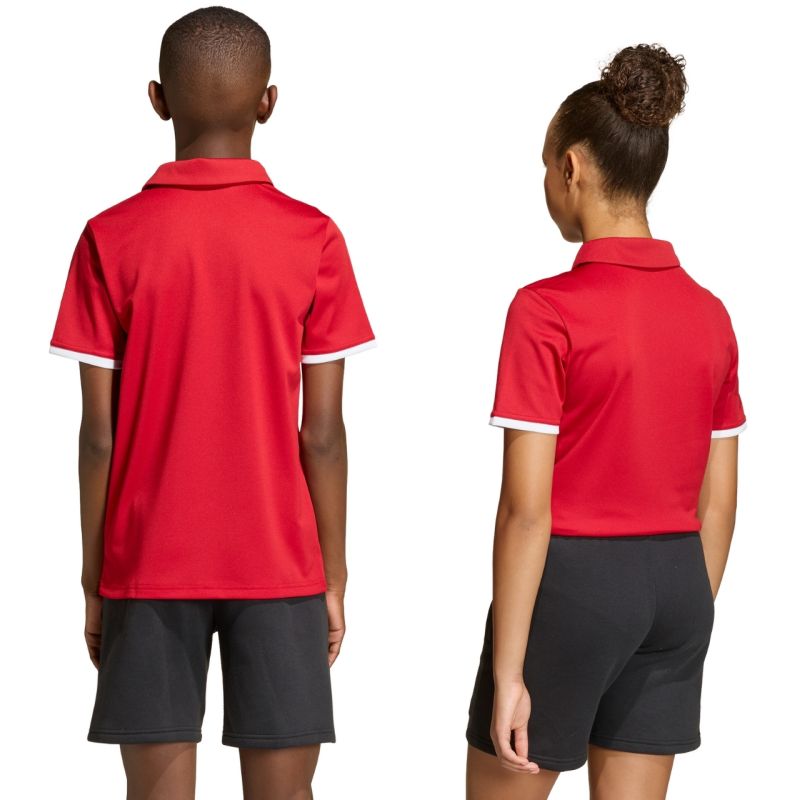 Kép alternatív szöveg
