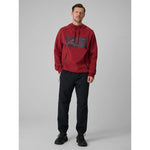 4F Men's regular hooded sweatshirt pulóver 4FRSS26TSWSM2975-61S