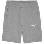 Puma teamGOAL Casuals Shorts