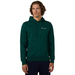 Champion Hooded Sweatshirt Green 221790 GS584 zöld kapucnis pulóver