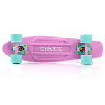 Meteor skateboard plastic skateboards
