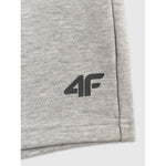 Men's sweatpants 4F