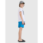 Boys' boardshorts 4F 4FJWSS25UBDSM159-33S 158/164 short