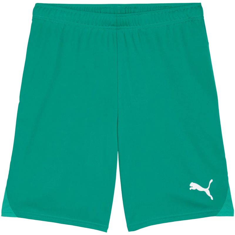 Puma teamGOAL Shorts