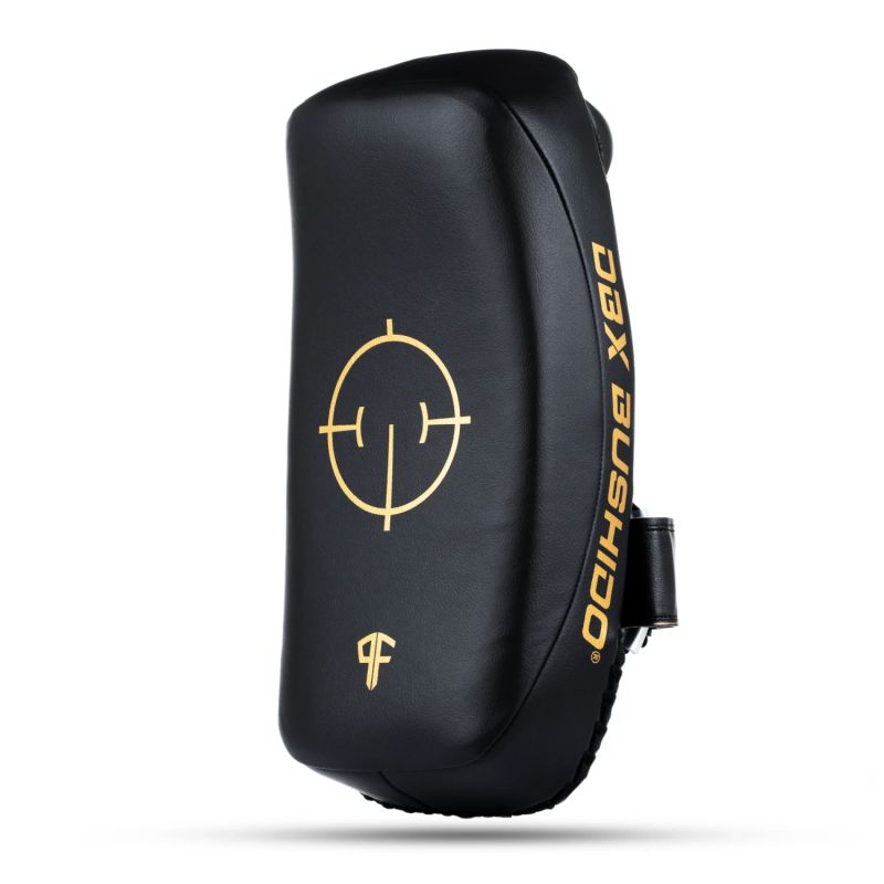 PAO Gold Thai Shields pair | ProFighter | DBX Bushido