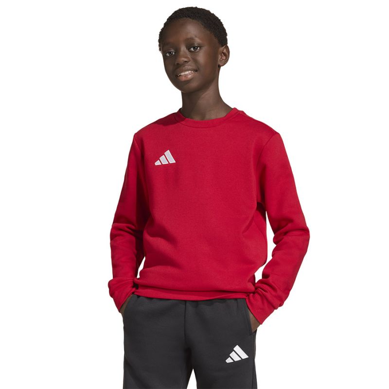 Kép alternatív szöveg