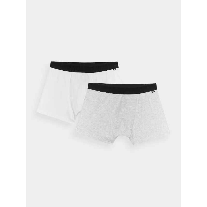 4f Men's boxer shorts (2-pack) 4FWMM00UBXSM059-90S General