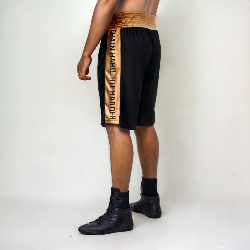 DBX Bushido GOLD training boxing ezüst short