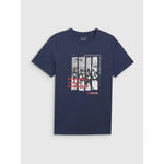 Men's regular printed T-shirt 4F 4FRAW25TTSHM3364-31S