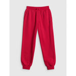 Boys' jogger sweatpants 4F 4FJRSS26TTROM1824-62S pants