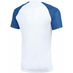 Men's Nike Dri-Fit Academy II T-shirt white and HV8160 kék póló