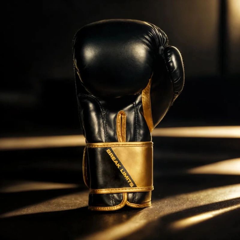 DBX Bushido 10oz Boxing Gloves - Infinity - Origin Series kesztyű