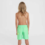 O'Neill Circle Surfer 14" Swim Jr zöld shorts, swimming shorts