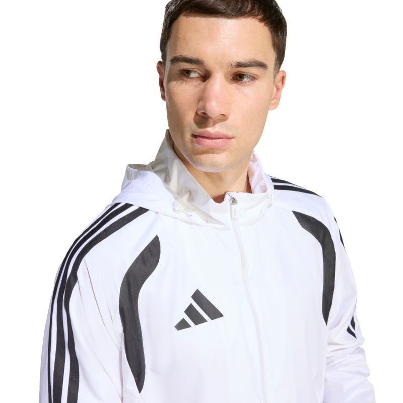 Kép alternatív szöveg