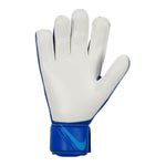 Nike Goalkeeper Match CQ7799-445 Goalkeeper Gloves kék kapuskesztyű