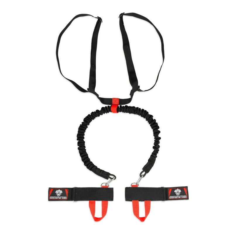 DBX Bushido P2 - DBX Striker - Expander band for boxing training expanders, training bands, training equipment