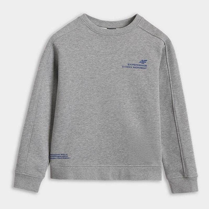 4f JUNIOR sweatshirt 4FJRAW25TSWSM2413-25M Egyéb
