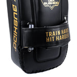 PAO Gold Thai Shields pair | ProFighter | DBX Bushido