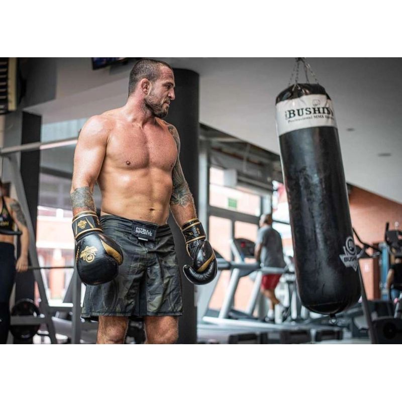 DBX Bushido 10oz Boxing Gloves - Aureos - Valor Series kesztyű