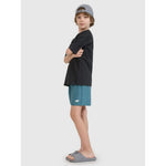 Boys' boardshorts 4F Junior 4FJRMM00UBDSM110-46S 146/152 short