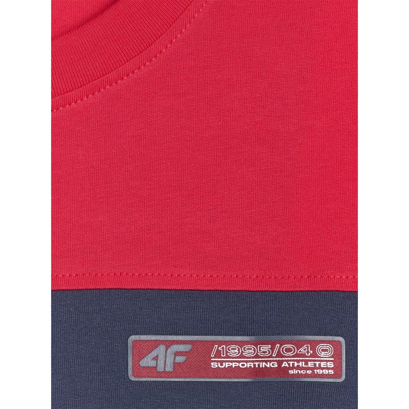 Men's regular printed T-shirt 4F 4FRAW25TTSHM3292-31S póló