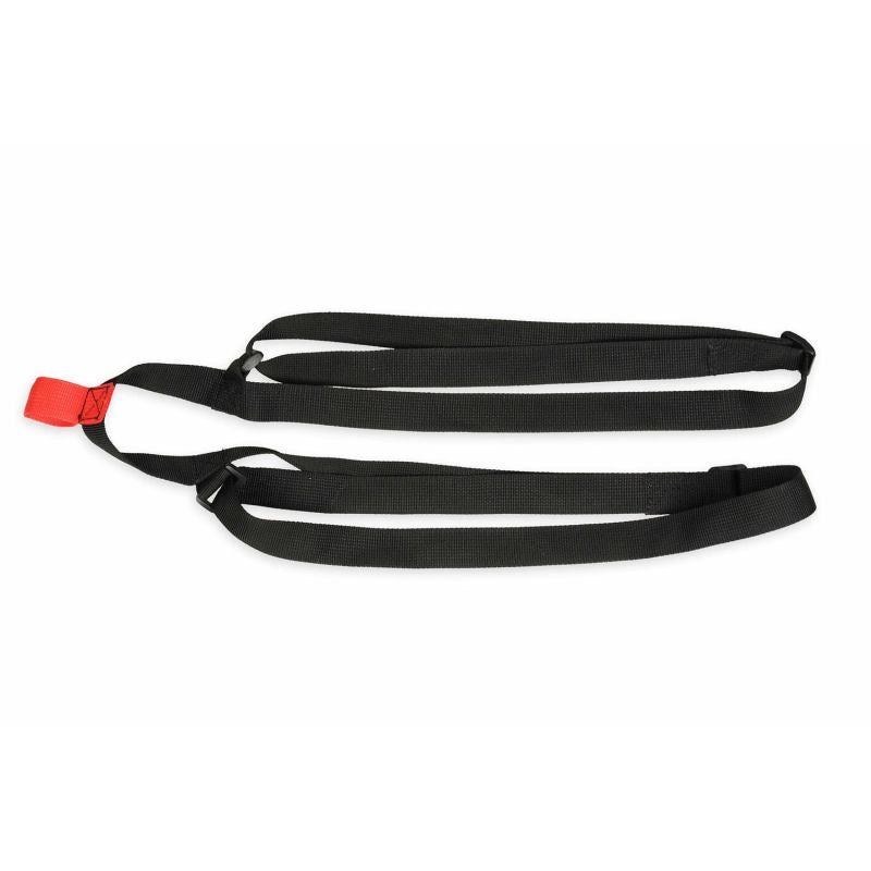 DBX Bushido P2 - DBX Striker - Expander band for boxing training expanders, training bands, training equipment