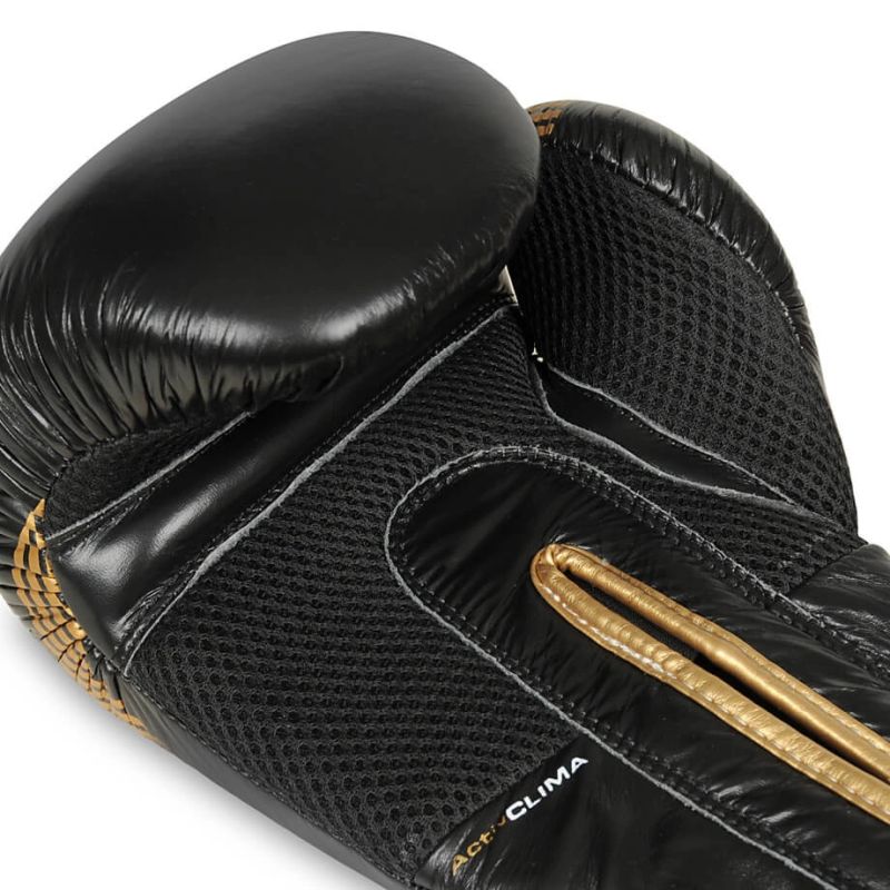 DBX Bushido 10oz Boxing Gloves - Aureos - Valor Series kesztyű
