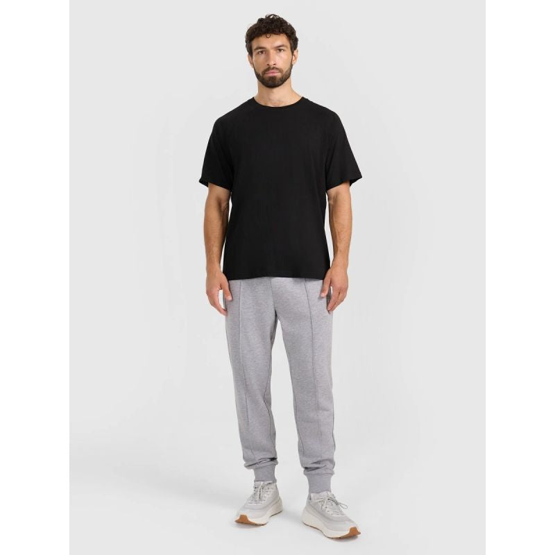 Men's jogger sweatpants 4F 4FRAW25TTROM1671-27M