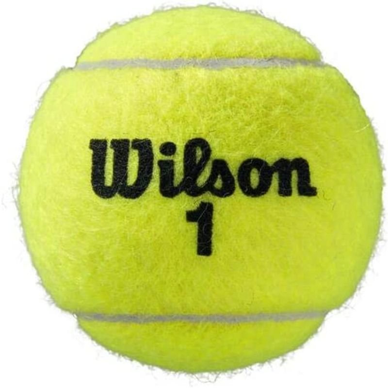 Wilson All Court Tennis Ball Roland Garros 3 pcs ITF kiegészítő GSP-887698