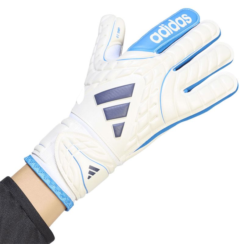 Kép alternatív szöveg