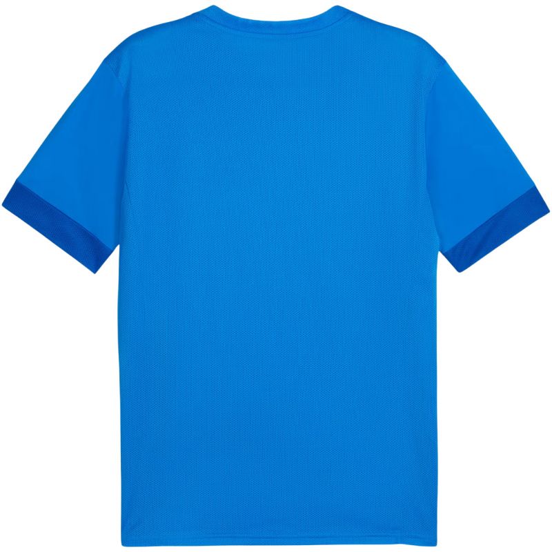 Puma teamGOAL Matchday Jersey Póló