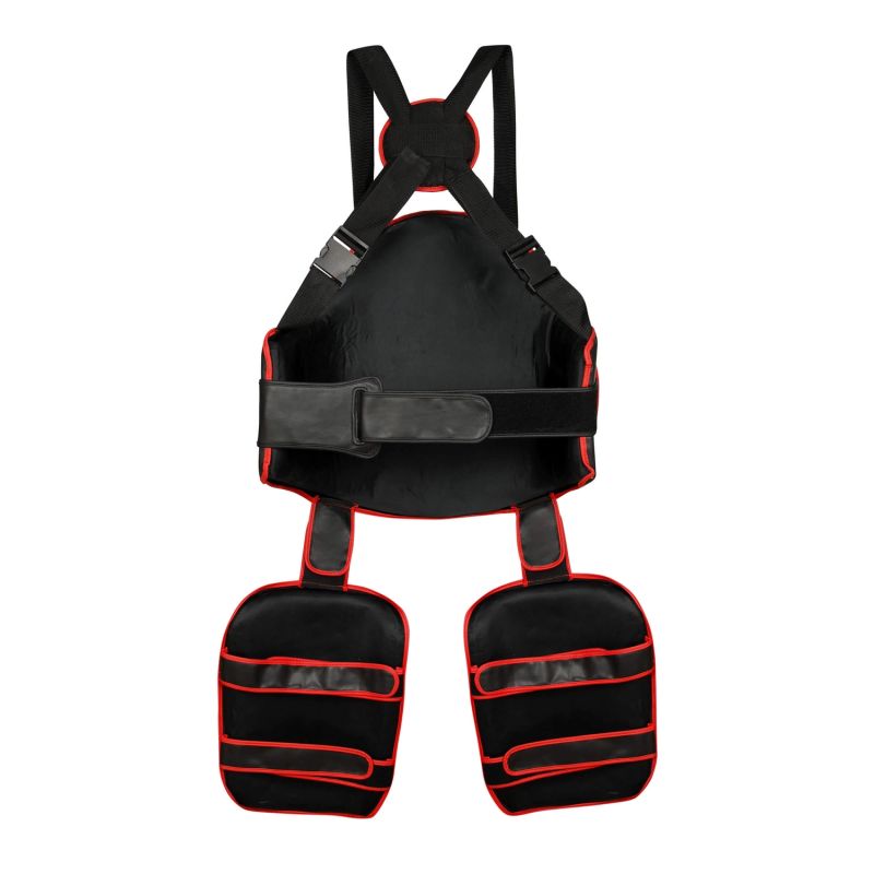 DBX Bushido DBX Guardian Pro Torso + Thigh Protector Set protectors and knee pads, sets