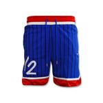 Nike Premium Game Royal/Metallic Copper - DA5993-480 short