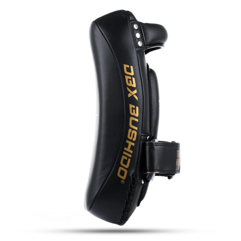 PAO Gold Thai Shields pair | ProFighter | DBX Bushido
