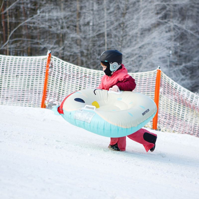 Meteor Owl Snow Slide