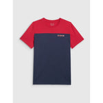 Men's regular printed T-shirt 4F 4FRAW25TTSHM3292-31S póló