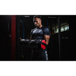 DBX Bushido Bushido, Sand Bag, Crosstraining, Fitness 35 Kg sandbag
