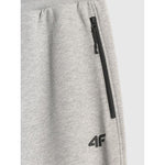 Men's jogger sweatpants 4F 4FRMM00TTROM2020-27M nadrág