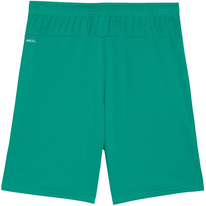 Puma Team Goal men's green 705752 zöld short