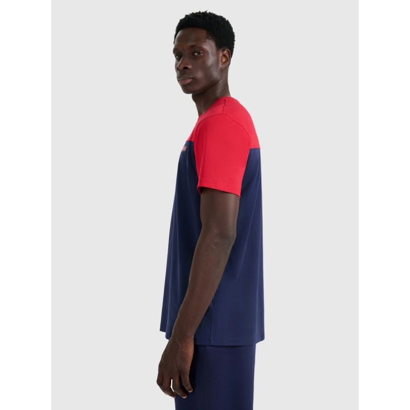 Men's regular printed T-shirt 4F 4FRAW25TTSHM3292-31S póló