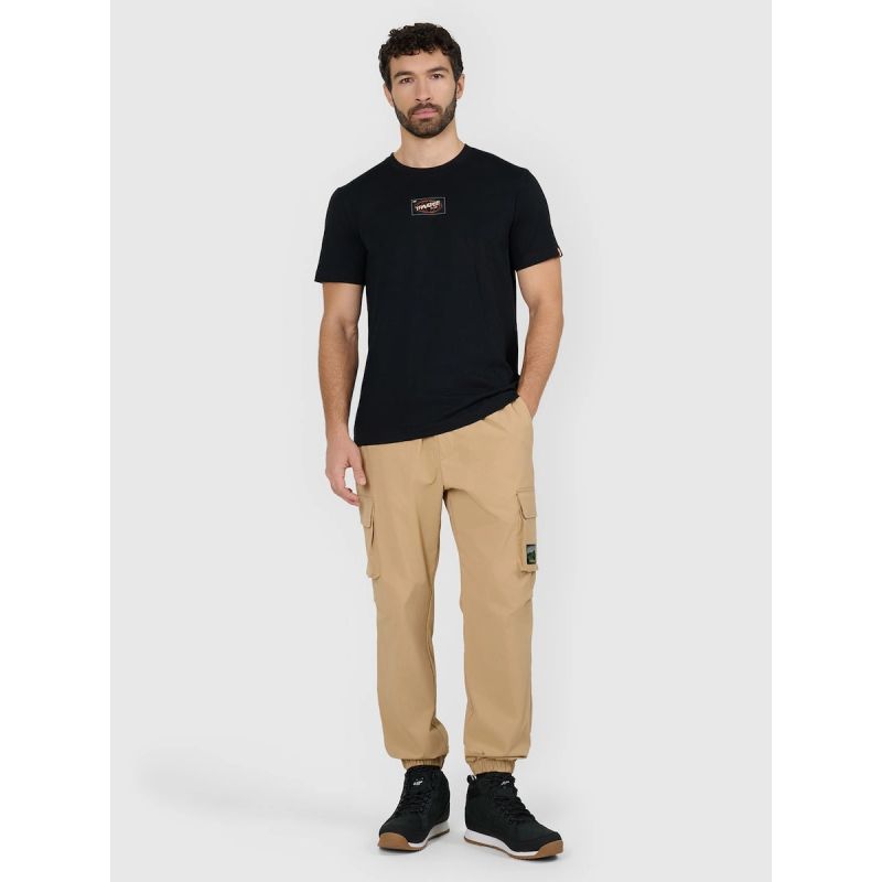 Men's regular printed T-shirt 4F 4FRAW25TTSHM3377-20S póló