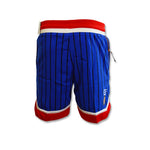 Nike Premium Game Royal/Metallic Copper - DA5993-480 short