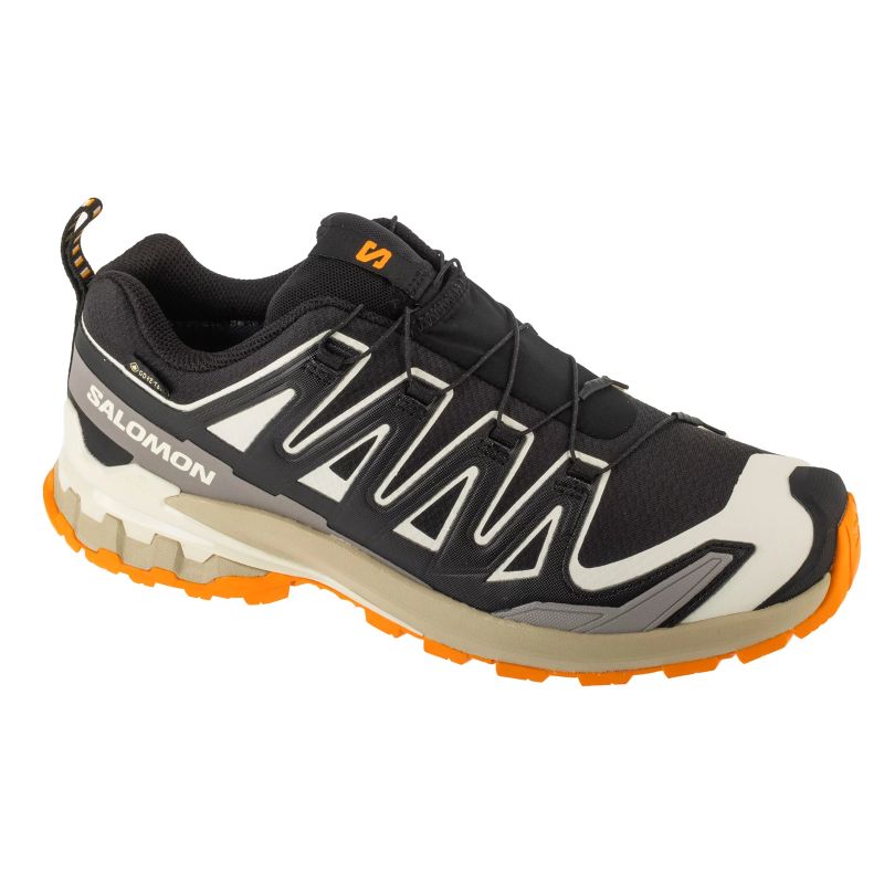 Salomon XA Pro 3D v9 GTX L47881900 Black 44 General