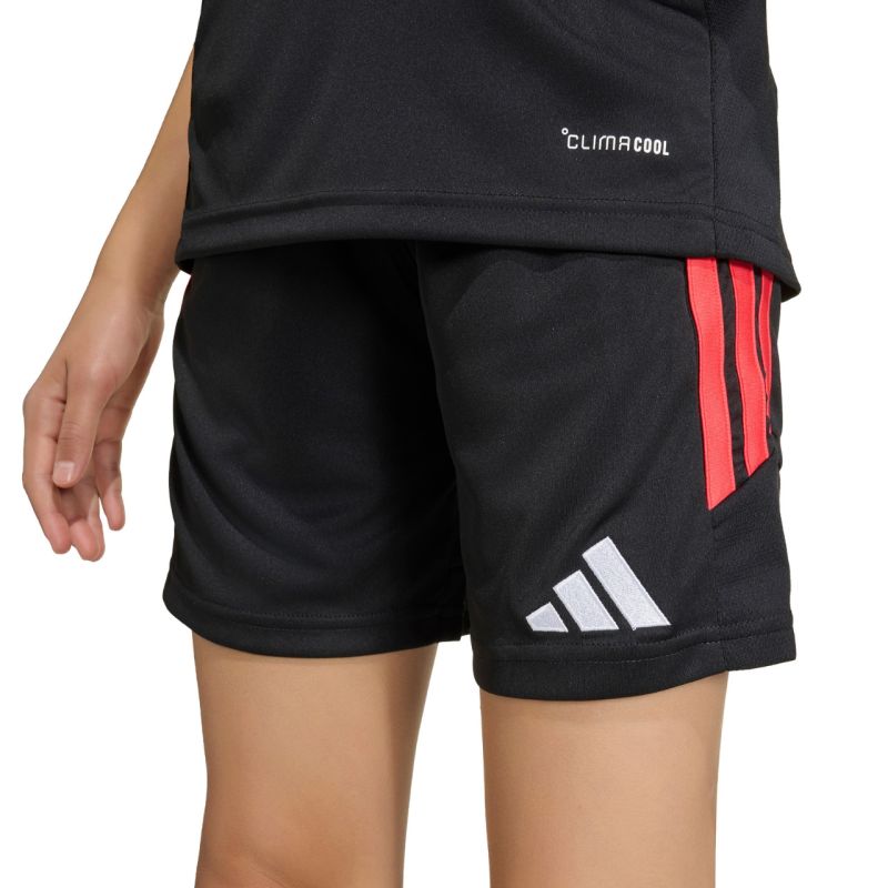 Kép alternatív szöveg