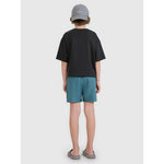 Boys' boardshorts 4F Junior 4FJRMM00UBDSM110-46S 146/152 short