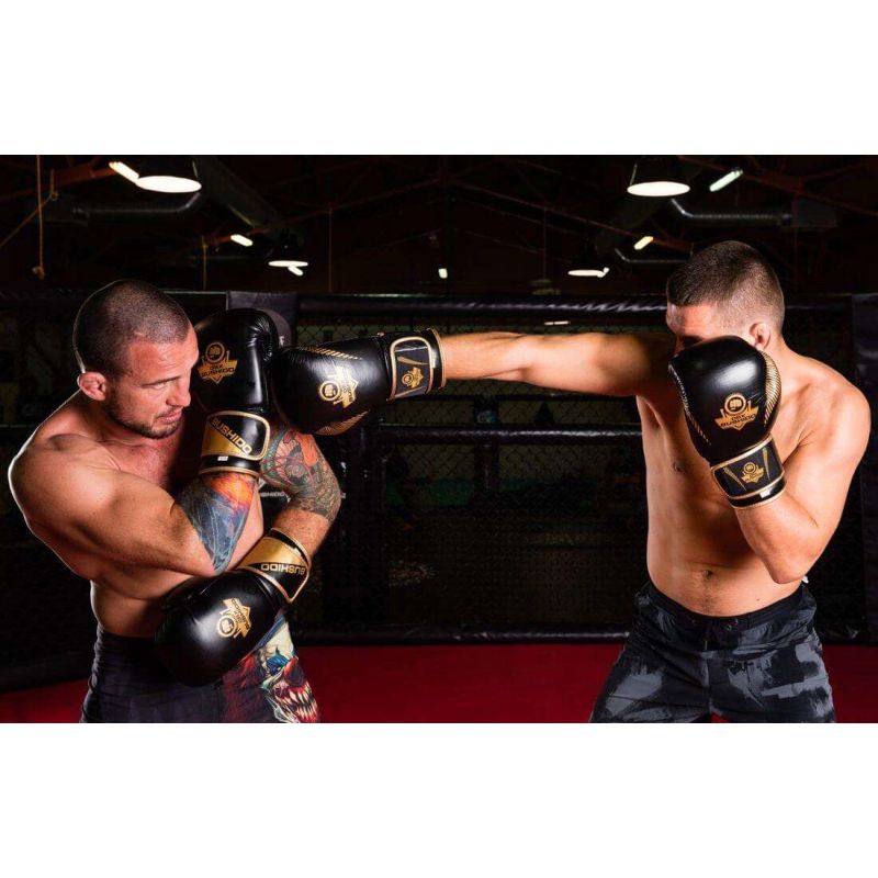 DBX Bushido 10oz Boxing Gloves - Aureos - Valor Series kesztyű