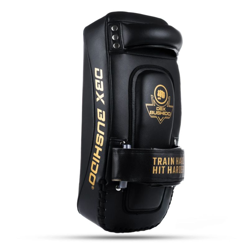 PAO Gold Thai Shields pair | ProFighter | DBX Bushido