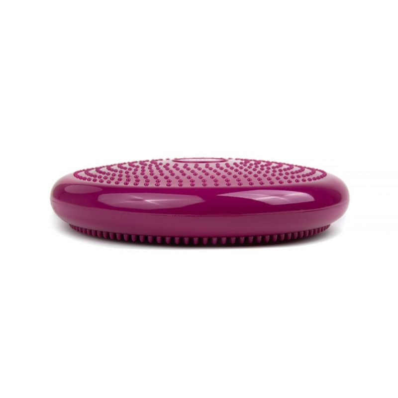 Tiguar stabilizing disc (air disc) DR- lila edzőfelszerelés TI-AD0011