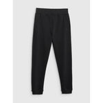 Women's jogger sweatpants 4F 4FRMM00TTROF1843-20S nadrág