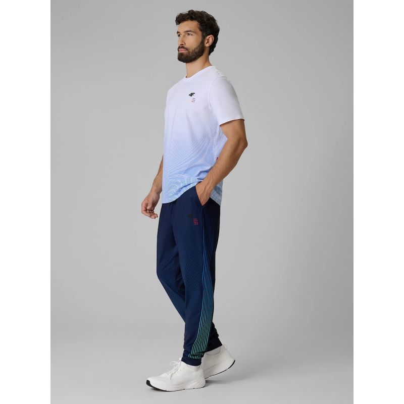 4F Men's regular printed T-shirt póló 4FRSS26TTSHM4040-33A